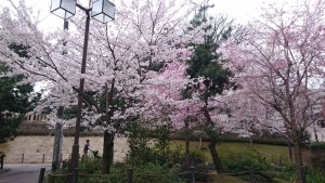 尾山神社近辺